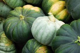 Maybe you would like to learn more about one of these? Types Of Edible Pumpkins Jessica Gavin