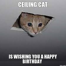 Happy Birthday To Me Meme Sad Memes For Happy Birthday Meme Cat Funny Funny Happy Birthday Meme Cat Memes Happy Birthday Meme