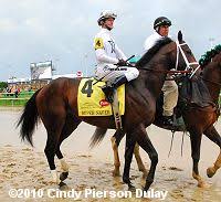 2010 Kentucky Derby Results