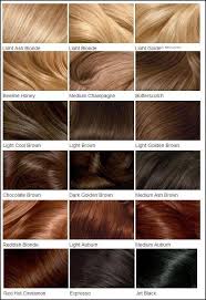 Clairols Hair Color Chart Different Blonde Brown Red Dark