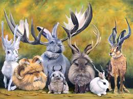 The lack of sightings these days make the jackalope one of the rarest animals in the world. Jackalope Art Collectibles Digital Prints Kromasol Com