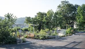 Hotels, restaurants, sports facilities, educational centers, atms, supermarkets, gas stations and more. Schloss Charlottenfels Parkaufwertung Bosch Landschaftsarchitektur
