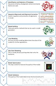 Homology Modeling In Drug Discovery Overview Current Applications And Future Perspectives Muhammed 2019 Chemical Biology Amp Drug Design Wiley Online Library