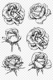 They are a symbol of purity, essence, and true love, a lovely thing to use as a wallpaper. Rose Flower Drawing Black And White Rose Png Clipart 1534787 Pikpng