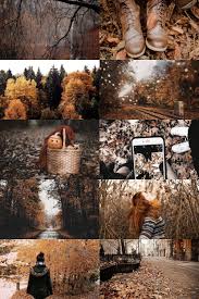 Herbst Autumnwallpaper With Images Autumn Aesthetic Autumn Photography Autumn Inspiration