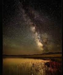 ﾟ✧*:・ﾟ @brattied - Twitter Profile | Sotwe