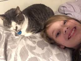 Lost Cat in West Pasco