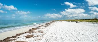 Sea life is one of his favorite spots in st. Sehenswurdigkeiten In Westflorida St Petersburg Und Clearwater