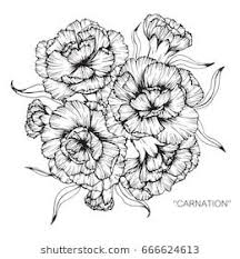 Bouquet Of Carnation Flowers Drawing And Sketch With Line Art On White Backgrounds Tatouage œillet Croquis De Fleurs Comment Dessiner Une Fleur