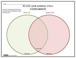 Give each student a venn diagram handout. Plant And Animal Cell Venn Diagram Plant And Animal Cells Animal Cell Homeschool Science