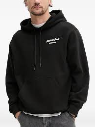 Image result for Hugonia gossweileri