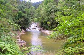 Pembinaan bukit cheeding sdn bhd. Lost Forever Free Flowing River That Gave The Temuans 24 Hour Access To Water Aliran