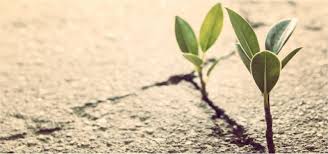 Diagram of resilience at work. 27 Resilience Activities And Worksheets For Students And Adults Pdfs