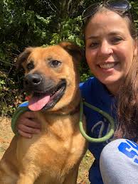 Meet Savannah. ❤️ She recently came up from a rescue in TX where she was  found as a stray. She's estimated to be about a year old, chi/terrier mix,  and 11lbs. Savannah