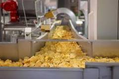 Nitrogen Food Packaging: How Nitrogen Flushing Keeps Your ...