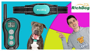 Have you ever feel sorry for the accidental shock to your dog caused by your misoperation? Dog Training Collar Setup Richdog Rechargeable Dog Shock Collar With Remote Youtube