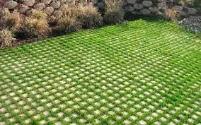 Drivable Grass And Plantable Wall Offering Eco Friendly Products For Green Yard Landscaping Yard Landscaping Driveway Landscaping Hardscape