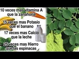 Pin En Salud Buena Alimentacion