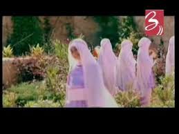 عليك رسولي طيور الجنه youtube animals doves beautiful