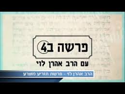 רבים תמהו בדברי המדרש האלה ממה נתפעל ר' ינאי הלא רוכל זה לא חידש דבר וחצי דבר, לא הוסיף פירוש ולא המשיל משל, לא הרחיב ולא קיצר, לא סתם ולא פירש, אלא היה קורא פסוק בתהלים, פסוק שודאי קרא. Ql Oiuzvi2zdm