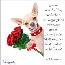Ruck Zuck Zum Richtigen Geburtstagswunsch Geburtstagsspiel Ws