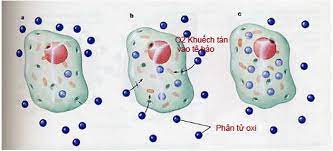 Hướng dẩn do hiện tượng khuếch tán mà các phân tử nước hoa hòa trộn với các phân tử không khí, mặt khác các phân tử hoa và không khí. Cach Giáº£i Bai Táº­p Vá» Cáº¥u Táº¡o Cháº¥t Nguyen Tá»­ Phan Tá»­ Cá»±c Hay