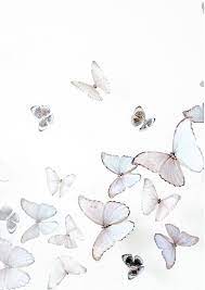 Download free butterfly white background images gallery. Stress Illustration Life Us This Website Is For Sale Stress Illustration Life Resources And Information Butterfly Wallpaper Butterfly Art Drawings