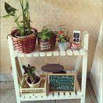 木の洋書 多肉寄せ植え 多肉植物寄せ植え アイアンカゴ 麻布 などのインテリア実例 2016 03 27 18 26 15 roomclip ルームクリップ 多肉植物 多肉植物寄せ植え サボテンプランター