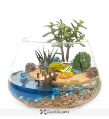 Bizim Adamiz Terrario Com Agua Minijardins Ideias De Jardinagem