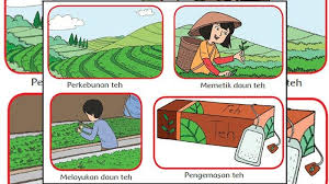 Kunci jawaban tema 4 kelas 4 halaman 1. Kunci Jawaban Tema 4 Kelas 4 Halaman 2 3 4 5 7 8 9 10 11 Buku Tematik Berbagai Pekerjaan Subtema 1 Tribun Pontianak