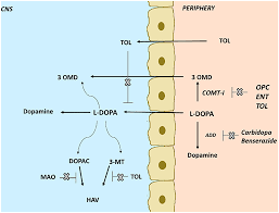 Image result for COMT Inhibitor