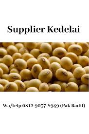9 jenis makanan yang berbahaya bagi penderita asam urat. Terlaris Telp Wa 0812 9037 8949 Tsel Distributor Kedelai Paling Dibutuhkan Petani Kedelai Mentah Distributor Kedelai Edamame Kedelai Jepang Kacang