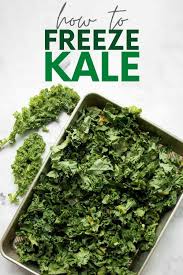 How To Freeze Kale Recipe Freezing Kale Best Vegetable Recipes Homemade Vegetable Soups