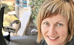 Falcons star in own reality show