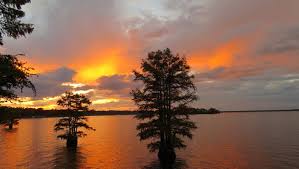 Photo Contest Entries Part 3