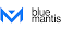Blue Mantis logo