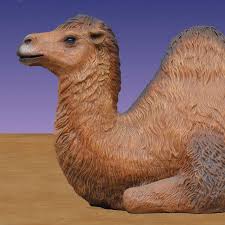 Wojak soy boy from 5th dimension. Resting Camel 45 Inches Tall Christmasnightinc Com