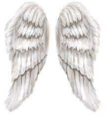 White Angel Wings Transparent Png Clip Art Image Angel Wings Pictures White Angel Wings Angel Wings Tattoo