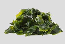 Any of numerous marine plants and algae, such as a kelp. Eating Seaweed During Pregnancy Health Benefits Risks Safety