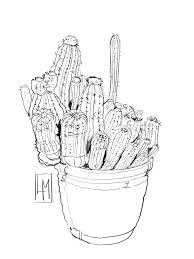 Draw a large circle, part of which is intersected with the pot. Line Drawing Of A Pot Of Cactus Drawing By Luisa Millicent