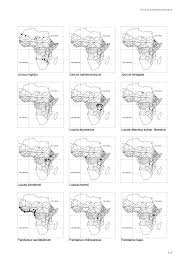 Image result for Pandanus chiliocarpus