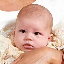 Meghan and Harry land in South Africa with Archie after BA flight