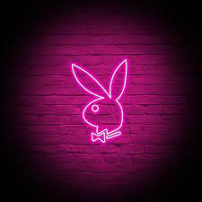 At the bottom of the tunnel is a pink dryer door that leads to another room in the house. Neon Playboy Bunny Wallpapers Wallpaper Cave