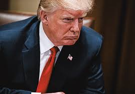 Trump willing to 'shut it down'