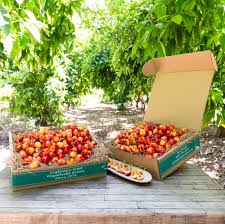 It was my day off from. Organic Rainier Cherries Frog Hollow Farm