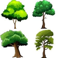 2d Cartoon Trees Trees Cartoon Textures Materials Cartoon Trees Cartoon Background Tree