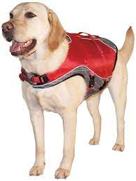 The Best Dog Life Vests In 2019 Dogs Recommend Dog Life Vest Dog Training Collar Dog Life