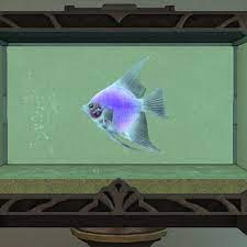 However, don't let similarities confuse you, as eureka. Kirito Bladerunner Blog Entry All Freshwater Aquarium Fish Preview 5 5 Final Fantasy Xiv The Lodestone