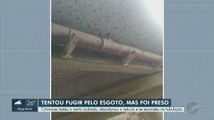 Check spelling or type a new query. Homem E Preso Apos Perseguicao Pela Rodovia Anhanguera E Area De Mata Em Campinas Campinas E Regiao G1