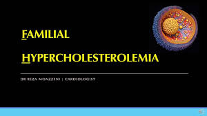 Image result for Hypercholesterolemia